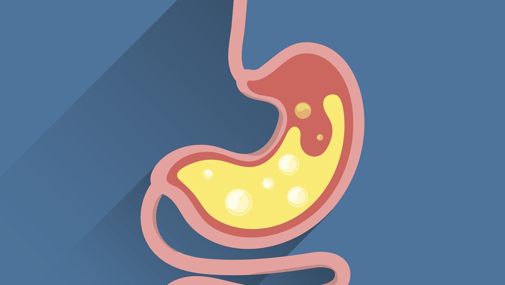 Lanreotide immune cells | Shaanxi BLOOM Tech Co., Ltd Lanreotide immune cells | Shaanxi BLOOM Tech Co., Ltd