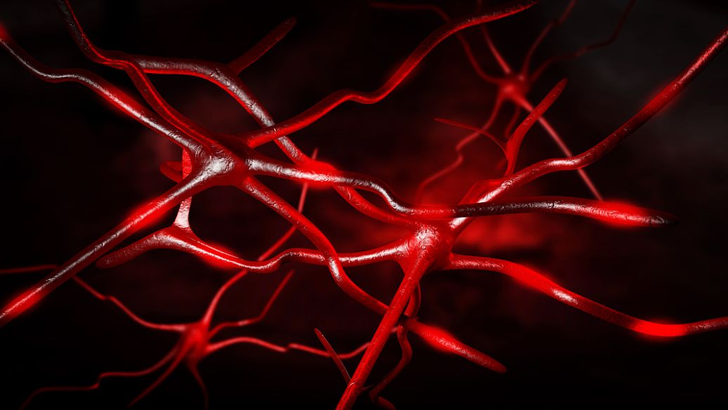 Pepstatin Technologies | Shaanxi BLOOM Tech Co., Ltd