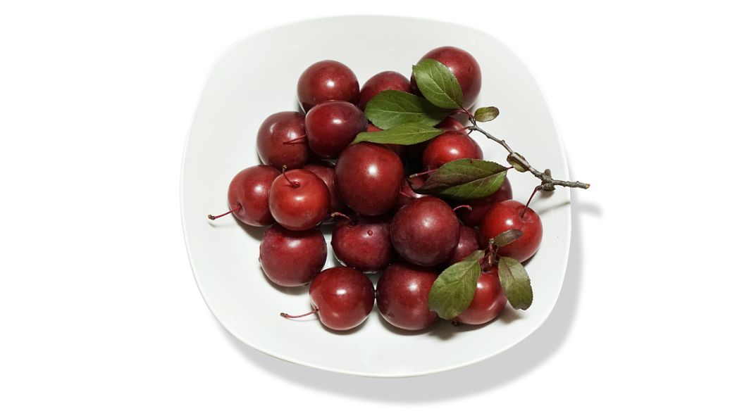 野山楂的功效与作用