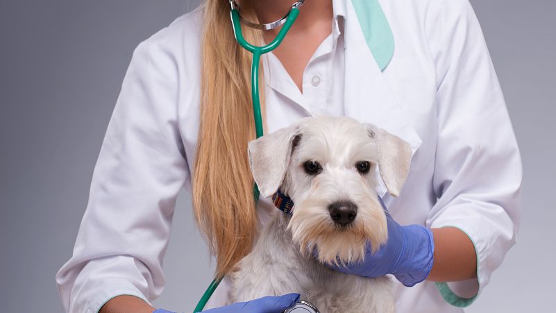 Desmopressin cost | Shaanxi BLOOM Tech Co., Ltd Desmopressin cost | Shaanxi BLOOM Tech Co., Ltd