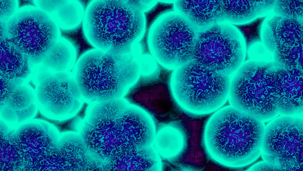 SLU-PP-332 Capacity | Shaanxi BLOOM Tech Co., Ltd