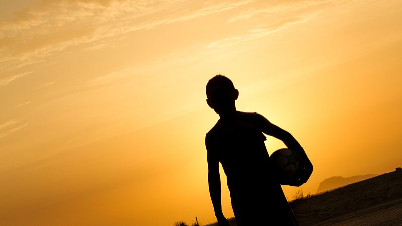 Opiorphin effect | Shaanxi BLOOM Tech Co., Ltd Opiorphin effect | Shaanxi BLOOM Tech Co., Ltd